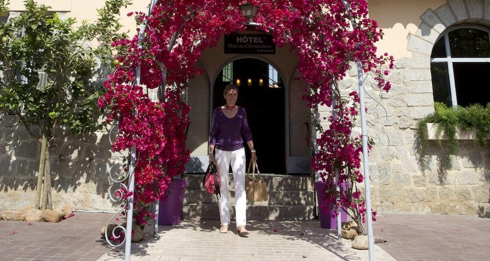 Le Mas Des Citronniers Collioure Exterior photo